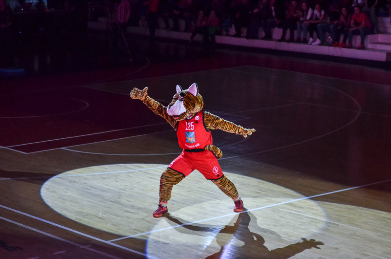 Суперлига. 1/4 финала. «Спартак-Приморье» - «Самара» 67:62